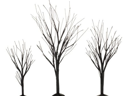 Black Bare Branch Trees, St 3 Discount