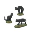 A Clowder Of Black Cats Online