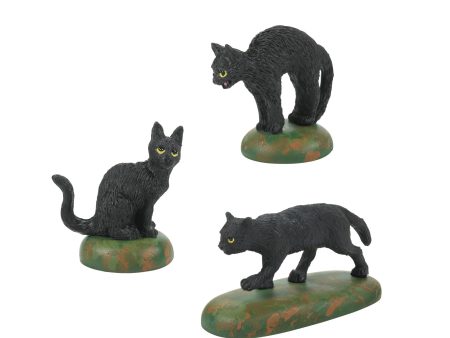 A Clowder Of Black Cats Online