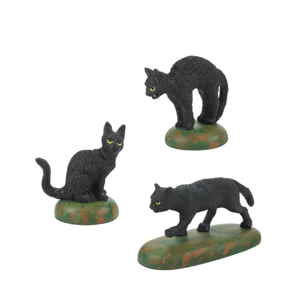 A Clowder Of Black Cats Online