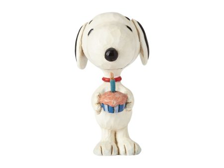 Snoopy Birthday Mini Fashion