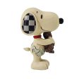 Snoopy w  Chocolate Bunny Mini Discount