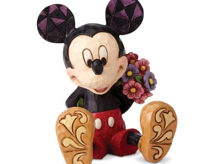 Mini Mickey Mouse For Sale