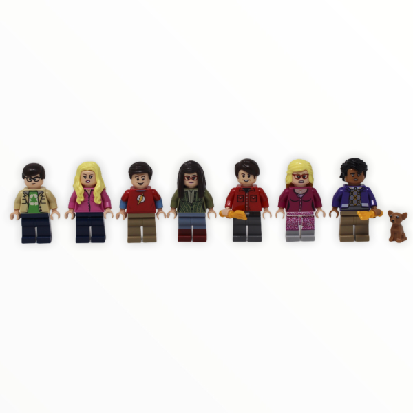 Used Set 21302 LEGO Ideas The Big Bang Theory Sale