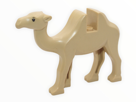 Tan Camel Sale