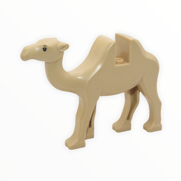 Tan Camel Sale