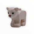 White Lion Cub Online Sale