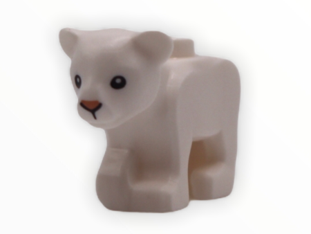 White Lion Cub Online Sale