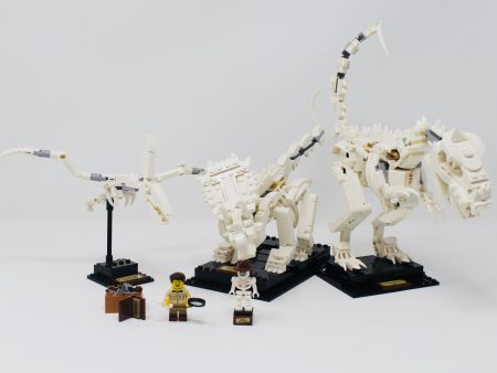 Used Set 21320 LEGO Ideas Dinosaur Fossils Cheap