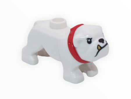 White Bulldog (gold tooth, red collar) For Cheap