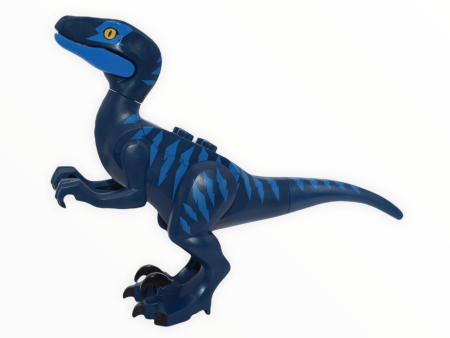 Dark Blue Velociraptor (blue eye patch) Discount