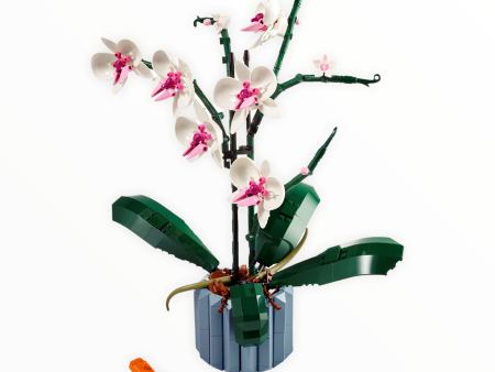 10311 Botanical Collection Orchid Hot on Sale